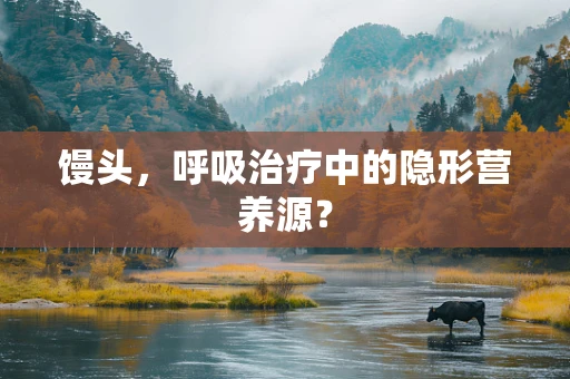 馒头，呼吸治疗中的隐形营养源？