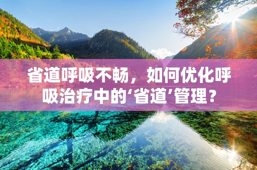 省道呼吸不畅，如何优化呼吸治疗中的‘省道’管理？