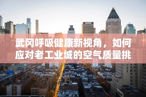 武冈呼吸健康新视角，如何应对老工业城的空气质量挑战？