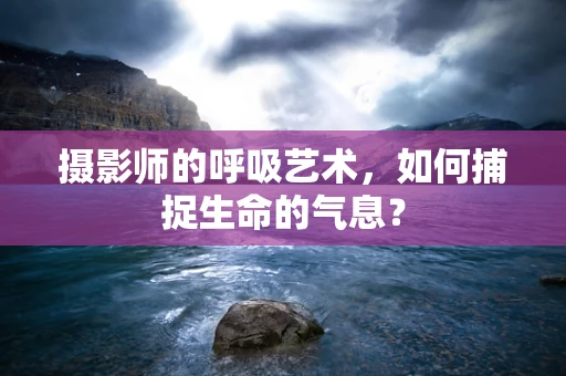 摄影师的呼吸艺术，如何捕捉生命的气息？