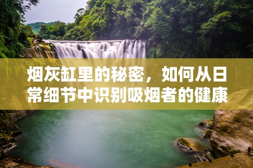 烟灰缸里的秘密，如何从日常细节中识别吸烟者的健康风险？