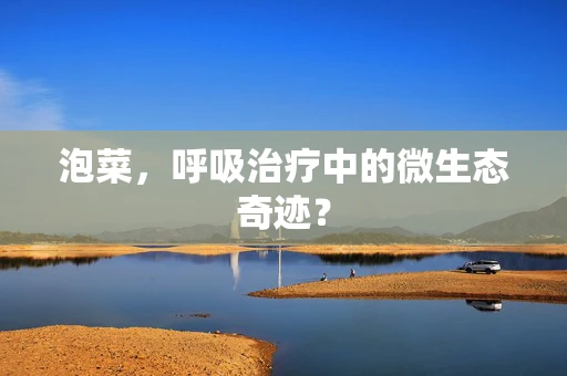 泡菜，呼吸治疗中的微生态奇迹？