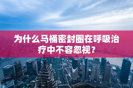 为什么马桶密封圈在呼吸治疗中不容忽视？