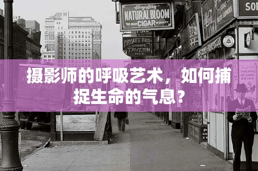 摄影师的呼吸艺术，如何捕捉生命的气息？