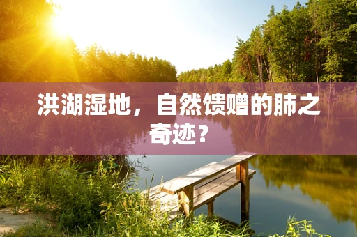 洪湖湿地，自然馈赠的肺之奇迹？