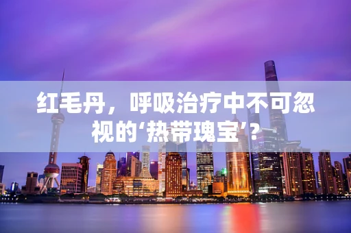 红毛丹，呼吸治疗中不可忽视的‘热带瑰宝’？