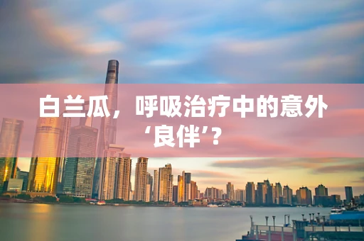 白兰瓜，呼吸治疗中的意外‘良伴’？