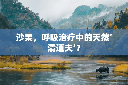 沙果，呼吸治疗中的天然‘清道夫’？