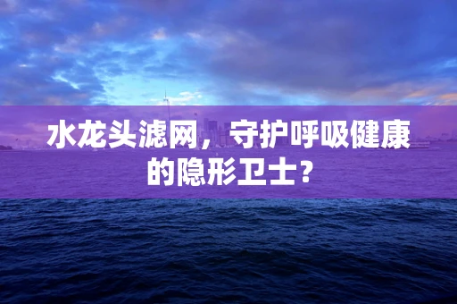 水龙头滤网，守护呼吸健康的隐形卫士？