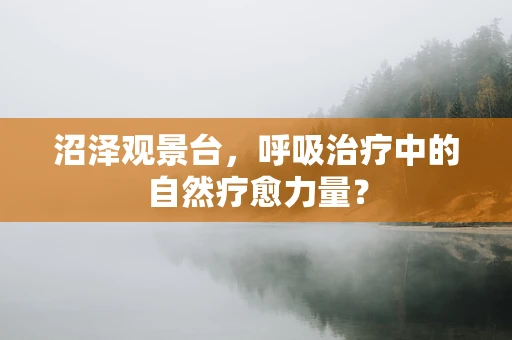 沼泽观景台，呼吸治疗中的自然疗愈力量？