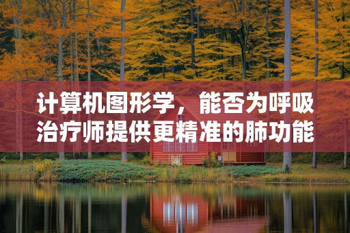 计算机图形学，能否为呼吸治疗师提供更精准的肺功能评估？