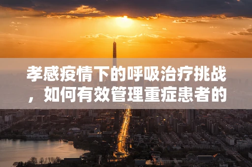 孝感疫情下的呼吸治疗挑战，如何有效管理重症患者的呼吸支持？