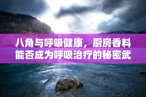 八角与呼吸健康，厨房香料能否成为呼吸治疗的秘密武器？