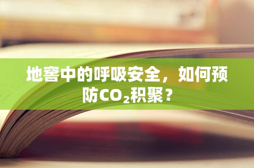 地窖中的呼吸安全，如何预防CO₂积聚？