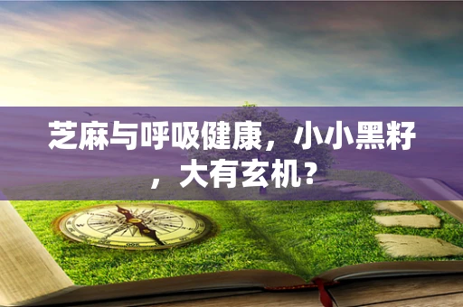 芝麻与呼吸健康，小小黑籽，大有玄机？