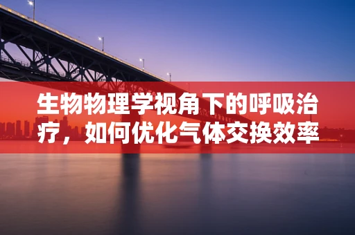 生物物理学视角下的呼吸治疗，如何优化气体交换效率？