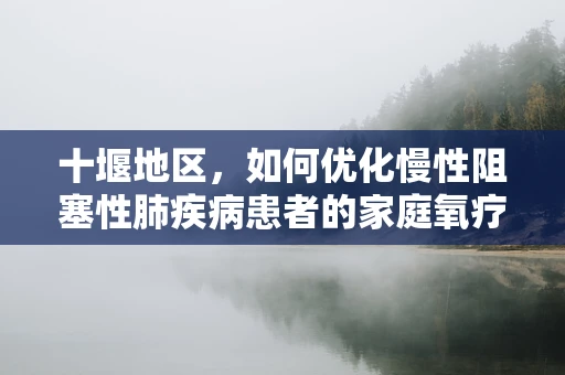 十堰地区，如何优化慢性阻塞性肺疾病患者的家庭氧疗？