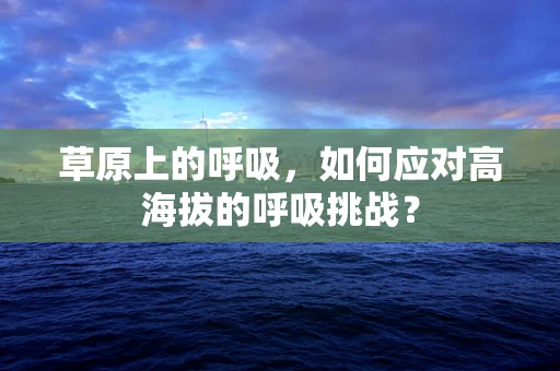 草原上的呼吸，如何应对高海拔的呼吸挑战？