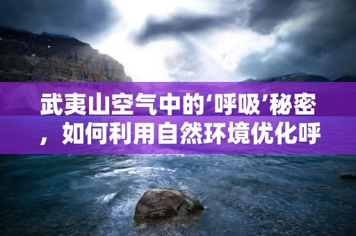 武夷山空气中的‘呼吸’秘密，如何利用自然环境优化呼吸治疗？