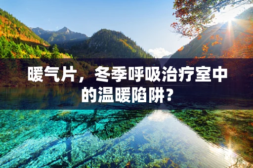 暖气片，冬季呼吸治疗室中的温暖陷阱？