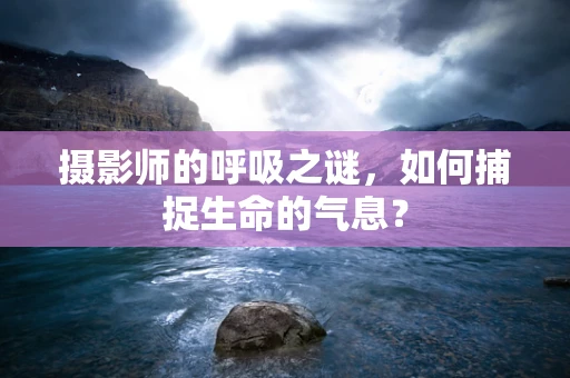 摄影师的呼吸之谜，如何捕捉生命的气息？