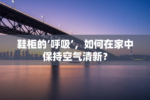 鞋柜的‘呼吸’，如何在家中保持空气清新？